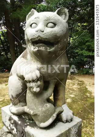 金刀比羅神社的駒貓石像 金刀比羅神社的駒貓石像 132645975