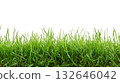 fresh green grass lawn isolated on white background png transparent clipart. 132646042