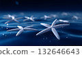 Starfish-shaped stars floating in an underwater constellation 132646643