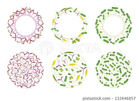 Decorative microgreens frames. Round plant borders, botany plant elements, vegetarian food, peas, mustard, lettuce sprouts, decorative design cartoon flat style isolated classy vector set 132646857