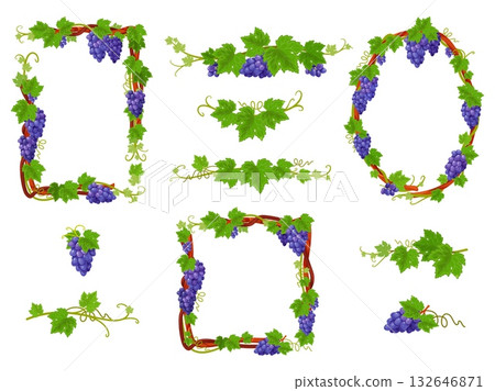 Grapevine frames. Different shapes decorative borders and dividers, vegetative curly design elements, branches, leaves, clusters with berries cartoon flat style isolated classy vector set Grapevine frames. Different shapes decorative borders and dividers, vegetative curly design elements, branches, leaves, clusters with berries cartoon flat style isolated classy vector set 132646871
