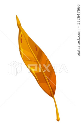 Cartoon willow autumn leaf in fall season. Orange and yellow weeping osier leaves. Narrow and long salix foliage with veins Cartoon willow autumn leaf in fall season. Orange and yellow weeping osier leaves. Narrow and long salix foliage with veins 132647666