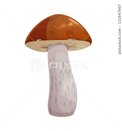 Cartoon boletus mushroom autumn icon. Fall forest edible fungi with brown cap and white leg. Bolete fungus family harvest 132647667