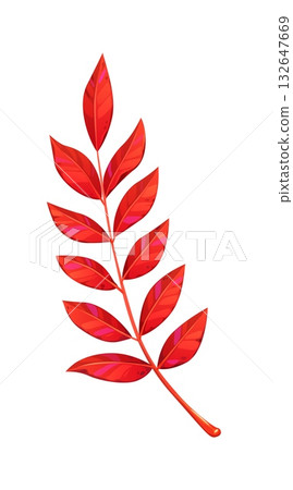 Cartoon rowan leaf branch in autumn season. Red fall leaves and mountain ash foliage. Compound sorbus Thanksgiving twig with stem 132647669