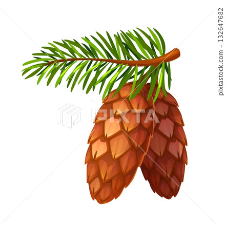 Cartoon autumn conifer pine cones Isolated on white. Vector coniferous tree branch with green sharp needles and two brown pinecones with seeds. Autumnal season and Christmas decoration 132647682