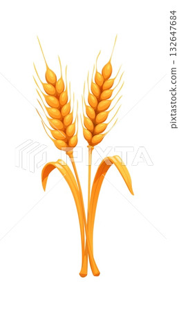 Cartoon wheat ears with autumn golden stem and leaves. Yellow barley, oat or rye isolated icon for fall agriculture farming season. 132647684