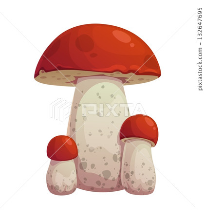 Cartoon boletus mushrooms autumn icon. Fall forest harvest illustration with bolete fungus family, edible mushrooms drawn with brown cap and white leg 132647695