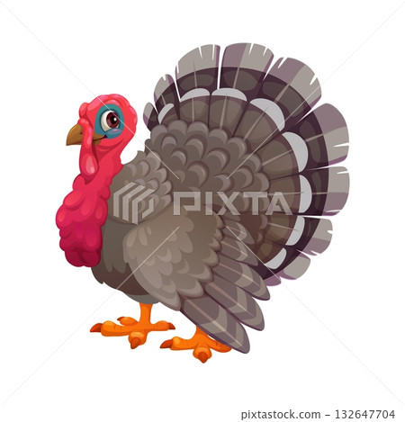 Cartoon plump turkey character Thanksgiving bird mascot. Cute grey poultry farm animal with eyes, beak, wings, wattle and large fanned tail. Thanksgiving holiday, greeting card, funny turkeycock 132647704