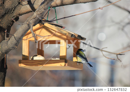 Two Great Tits feeding from a wooden bird feeder hanging from a tree branch on a sunny winter day 132647832