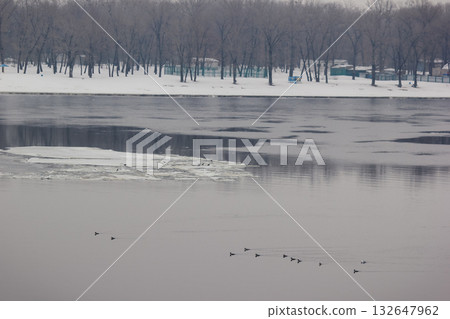 A wide shot of a river in winter with ice floes, snow-covered bank, and a line of bare trees on a grey day 132647962