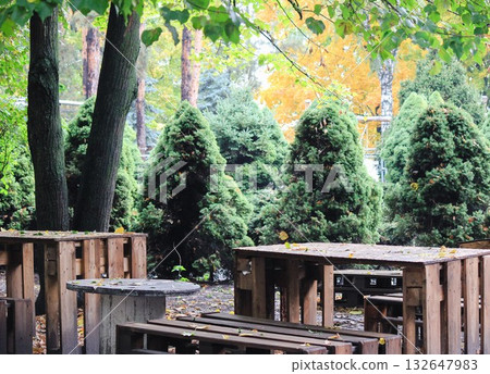 Outdoor seating area with rustic wooden pallet furniture surrounded by green spruces and autumn foliage. Fall park scene Outdoor seating area with rustic wooden pallet furniture surrounded by green spruces and autumn foliage. Fall park scene 132647983