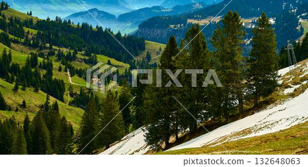 Lush green valleys and snowy peaks create a stunning landscape in the Swiss Alps during springtime Lush green valleys and snowy peaks create a stunning landscape in the Swiss Alps during springtime 132648063