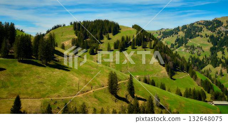 Vibrant green hills with lined trees under a clear blue sky in a tranquil valley during midday Vibrant green hills with lined trees under a clear blue sky in a tranquil valley during midday 132648075