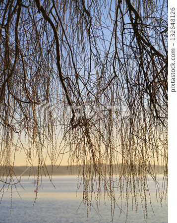 Lovely sunset over calm water framed by willow branches near a serene lakeshore 132648126