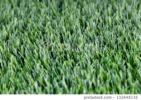 Close-up of mown lawn grass 132648138