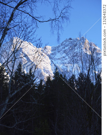 Majestic snow-capped mountains rise above a winter forest under a clear blue sky in an early morning landscape Majestic snow-capped mountains rise above a winter forest under a clear blue sky in an early morning landscape 132648372