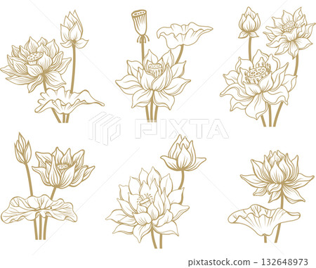 Lotus Flower Symbol Vector Set 132648973