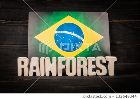 Brazilian Flag with RAINFOREST Text Highlighting the Amazons Global Environmental Importance Brazilian Flag with RAINFOREST Text Highlighting the Amazons Global Environmental Importance 132649344