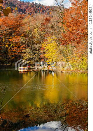 Autumn Trees Reflected in Lake Vertical View 132649624