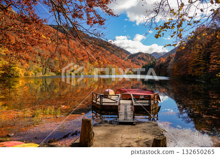 Belgrade Lake in Montenegro Surrounded by Autumn Forest 132650265