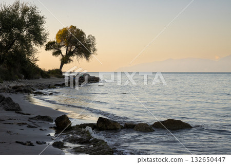 Tree on the coast of Ionian sea, Greece 132650447