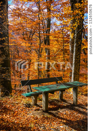 Wooden Bench and Table in Autumn Forest Setting 132650676