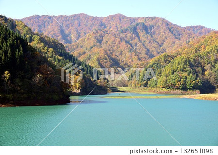 Autumn leaves at Lake Akiogi 132651098