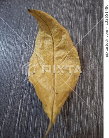 dry leaf on black wooden background dry leaf on black wooden background 132651486