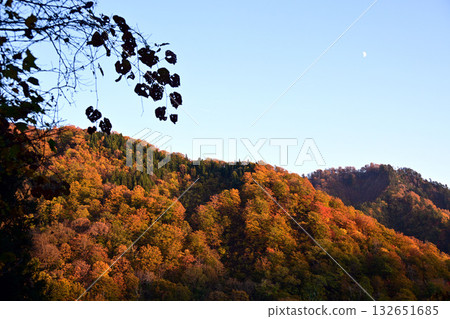 中俁谷的秋葉與月亮 中俁谷的秋葉與月亮 132651685