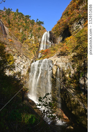 瀑布和秋天的落葉 132651686
