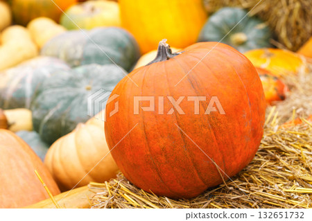 Close up of orange pumpkin and green gourds on dry straw background, autumn harvest season Close up of orange pumpkin and green gourds on dry straw background, autumn harvest season 132651732