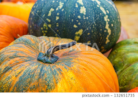 Close up of vibrant orange and green pumpkins during autumn harvest season in natural light 132651735