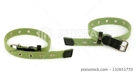 Two Green Canvas Dog Collars with Metal Grommets on White 132651770