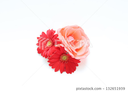 非洲菊和玫瑰花頭 132651939