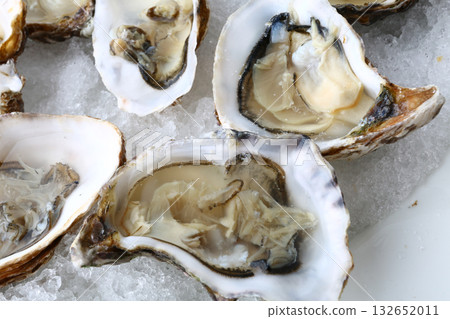 fresh oysters as luxury gourmet food for celebration 132652011