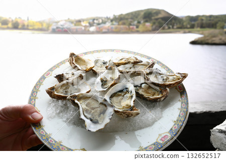 fresh oysters as luxury gourmet food for celebration 132652517