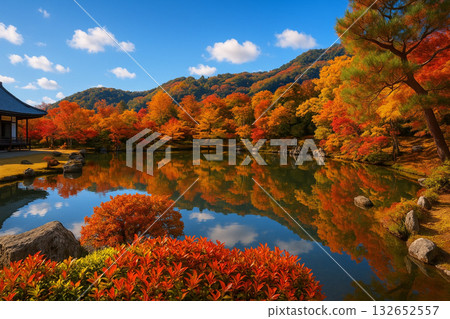 天龍寺 曾池花園 大寶城 秋葉 132652557