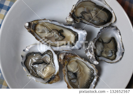 fresh oysters as luxury gourmet food for celebration 132652567