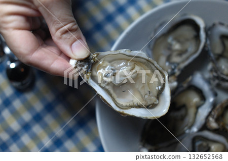 fresh oysters as luxury gourmet food for celebration fresh oysters as luxury gourmet food for celebration 132652568