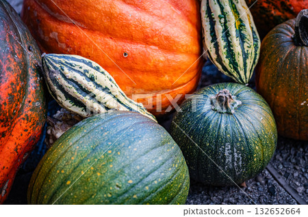 北海道旭川上野農場的秋天 132652664