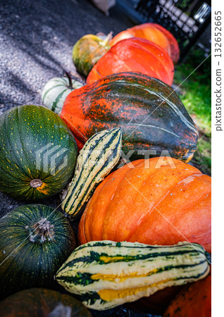 北海道旭川上野農場的秋天 132652665