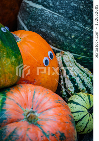 北海道旭川上野農場的秋天 132652685