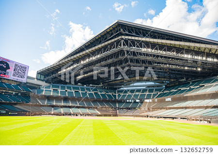 北海道棒球場埃斯康球場 北海道棒球場埃斯康球場 132652759