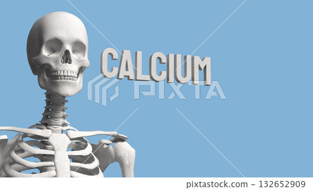 The Skeleton on blue Background for calcium concept 3d Rendering. The Skeleton on blue Background for calcium concept 3d Rendering. 132652909