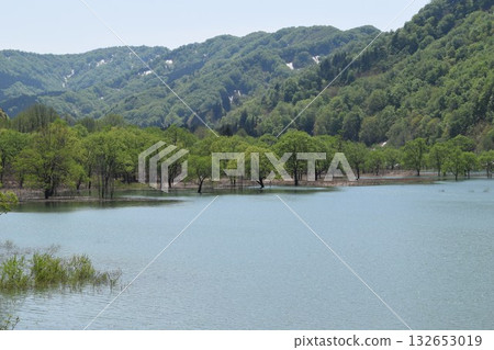 Arasawa Dam Largest in the prefecture 132653019