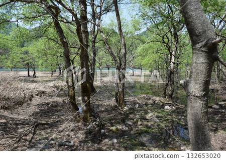 Arasawa Dam Largest in the prefecture 132653020