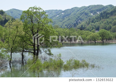 Arasawa Dam Largest in the prefecture 132653022