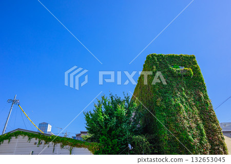 Monster [Ivy-covered building] 132653045