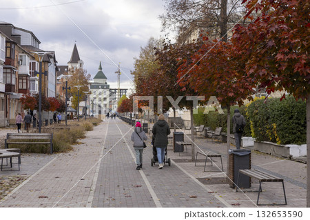 People walk along an autumn city pedestrian street 132653590