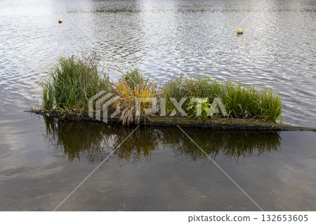 A grassy island in the lake water A grassy island in the lake water 132653605